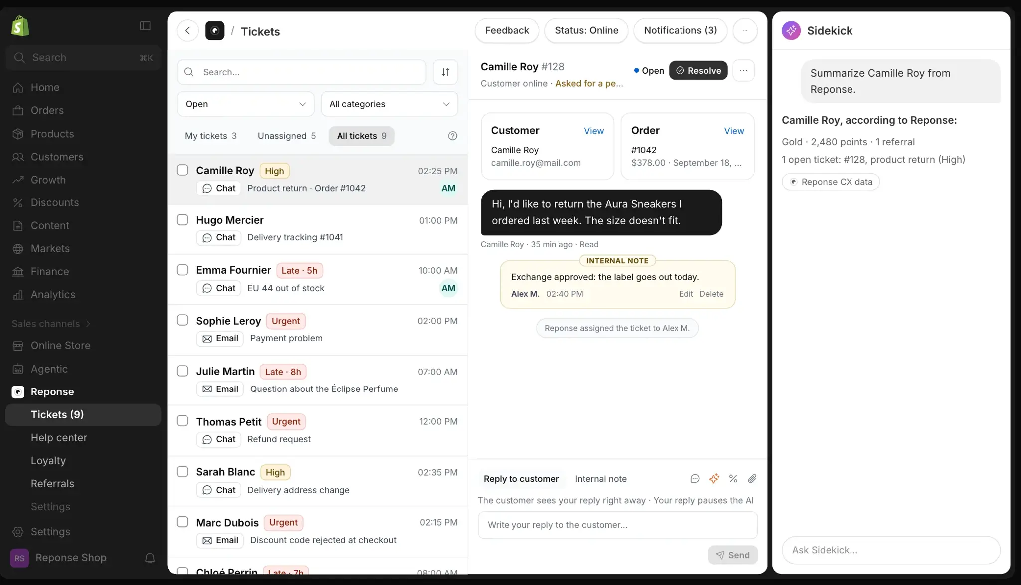 Sidekick sums up a customer from Reponse data